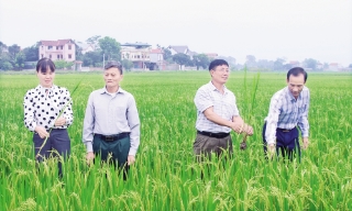 Nghị quyết chi bộ thôn: Rõ việc, tạo chuyển biến ở cơ sở